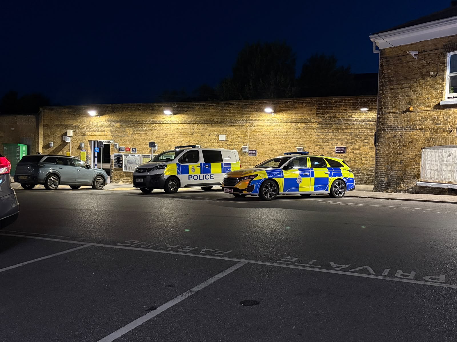 A marked police car with full livery and light bar -- officers can stop any driver without giving a reason